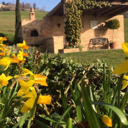 Bed and Breakfast Casale Delle Rondini Tolentino Exterior foto