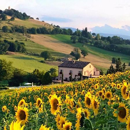 Bed and Breakfast Casale Delle Rondini Tolentino Exterior foto