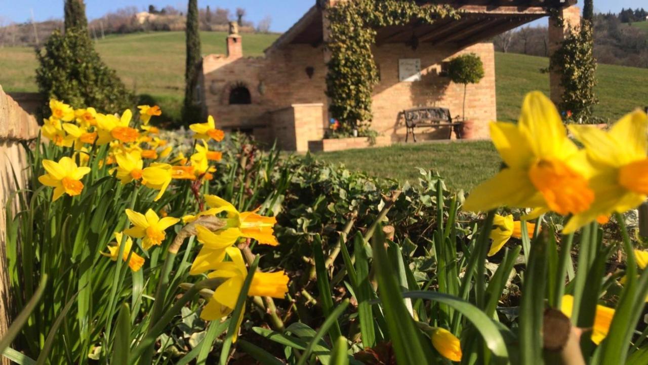Bed and Breakfast Casale Delle Rondini Tolentino Exterior foto