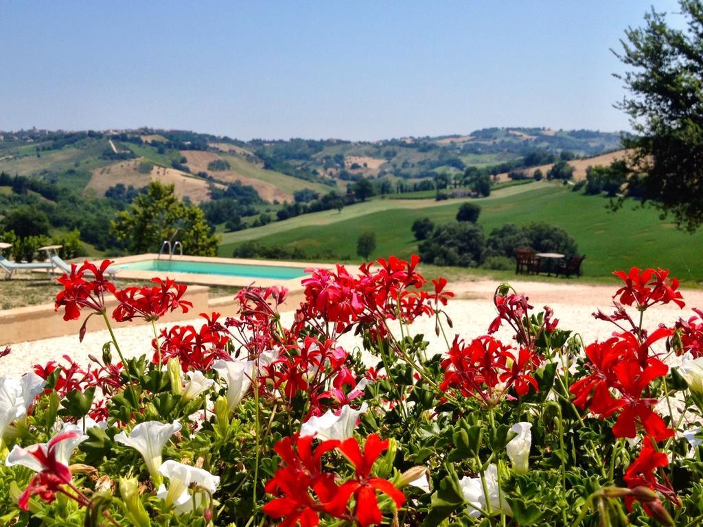 Bed and Breakfast Casale Delle Rondini Tolentino Exterior foto