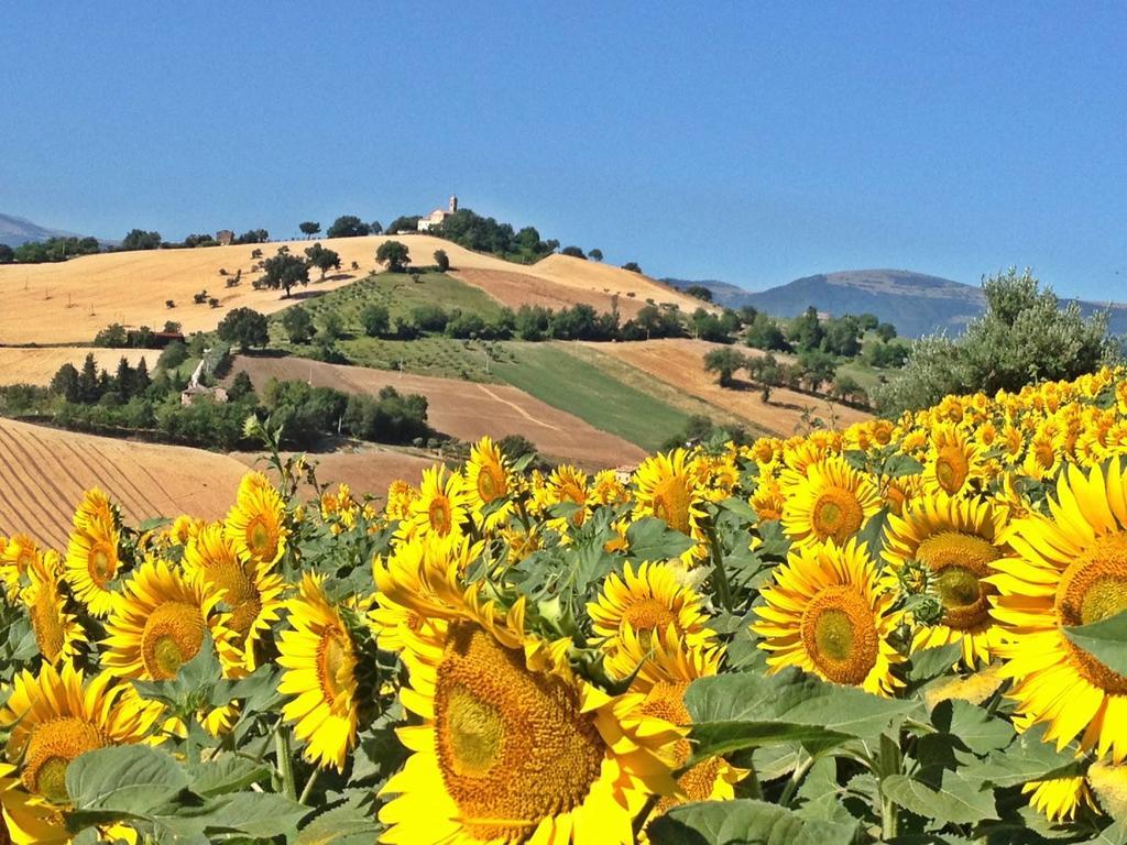 Bed and Breakfast Casale Delle Rondini Tolentino Exterior foto