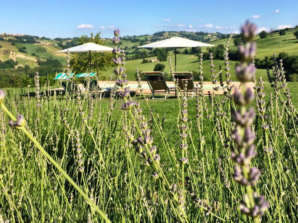 Bed and Breakfast Casale Delle Rondini Tolentino Exterior foto