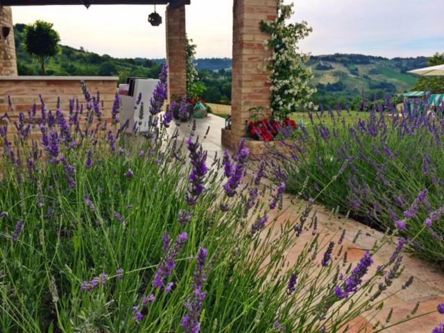 Bed and Breakfast Casale Delle Rondini Tolentino Exterior foto