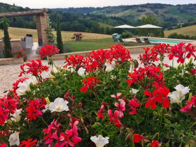 Bed and Breakfast Casale Delle Rondini Tolentino Exterior foto