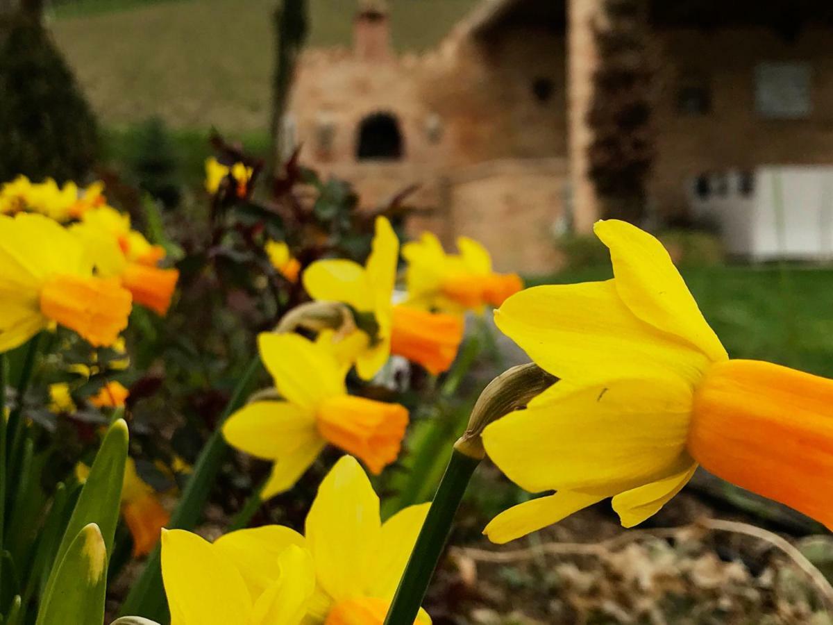 Bed and Breakfast Casale Delle Rondini Tolentino Exterior foto
