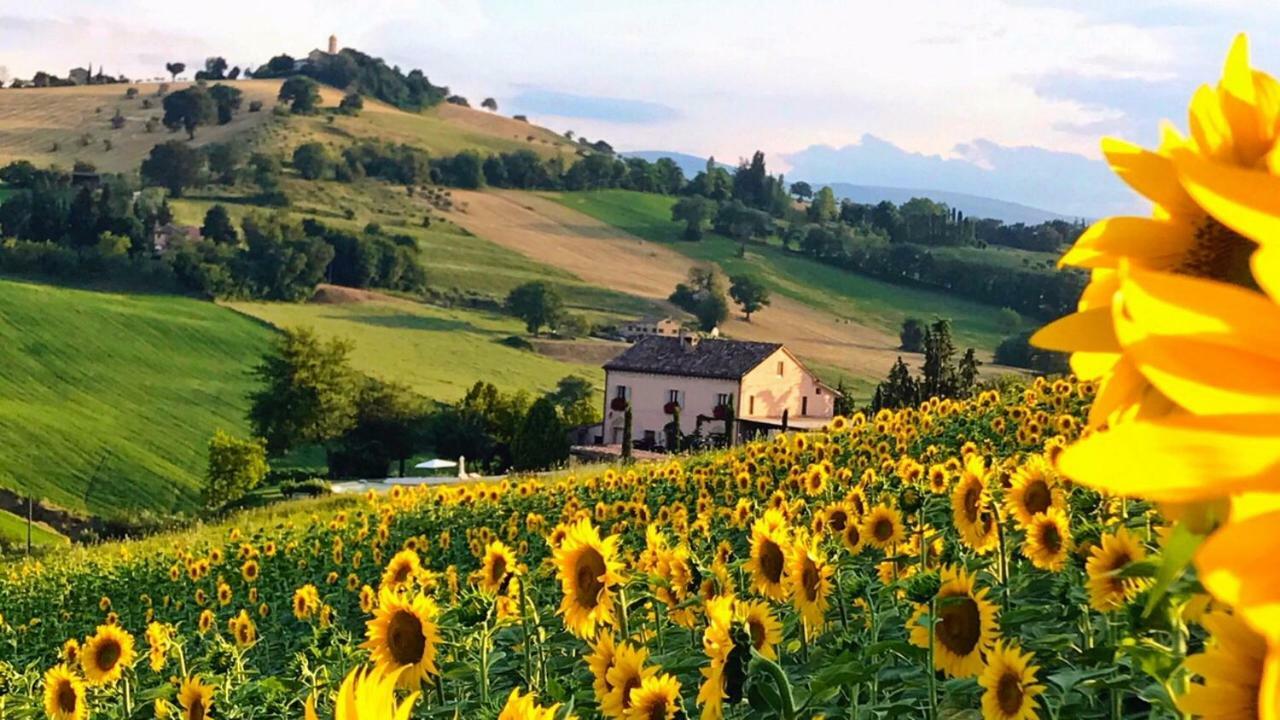 Bed and Breakfast Casale Delle Rondini Tolentino Exterior foto