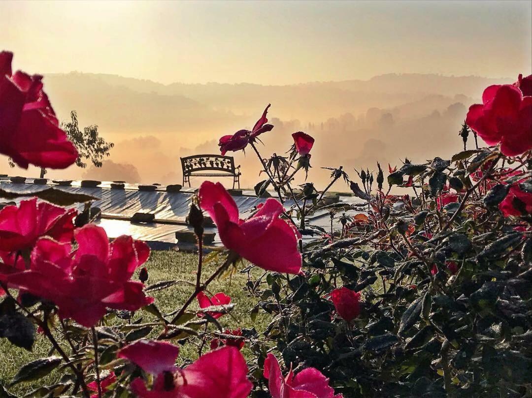 Bed and Breakfast Casale Delle Rondini Tolentino Exterior foto