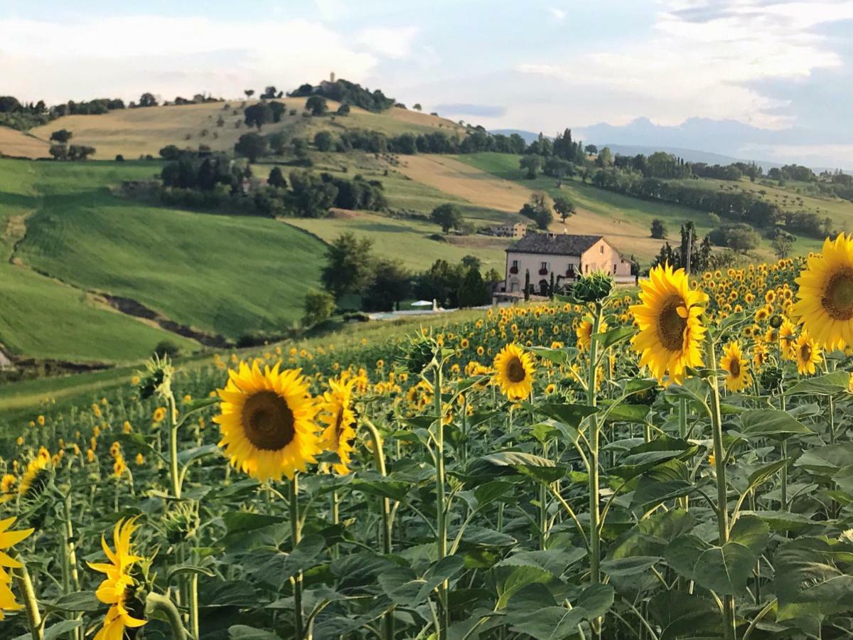Bed and Breakfast Casale Delle Rondini Tolentino Exterior foto