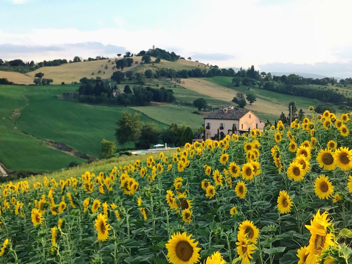 Bed and Breakfast Casale Delle Rondini Tolentino Exterior foto